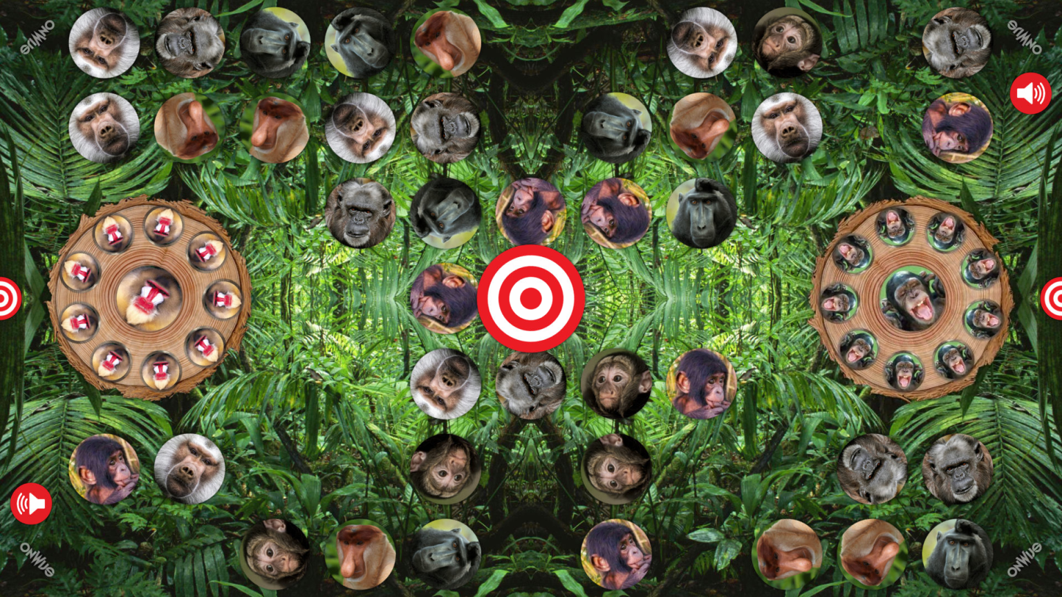 Belevenistafel apenzoeken